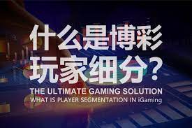 如何通过不同类型的盘来选择最优投注选项？-白嫖论坛-白嫖社区-白菜论坛